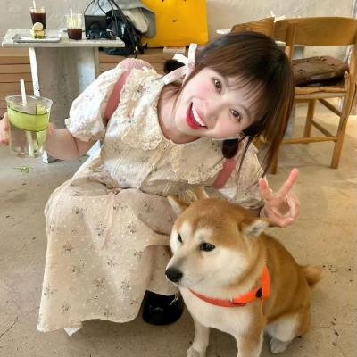 恋爱缺席的罗曼史
